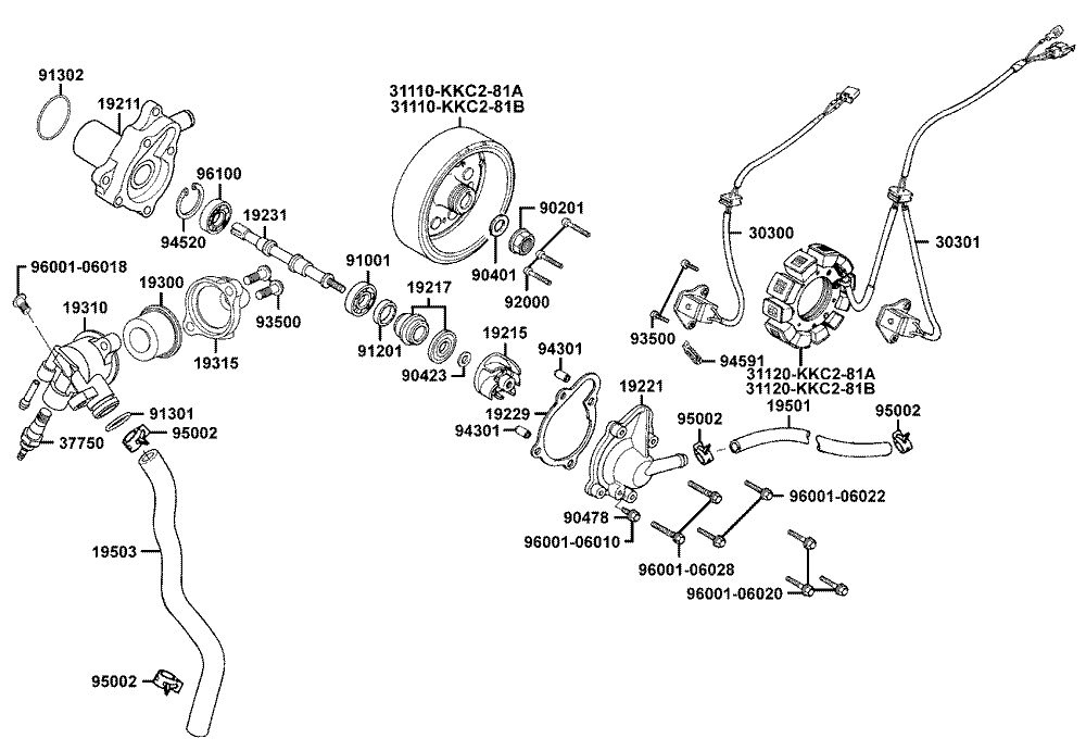 Lichtmaschine & Wasserpumpe