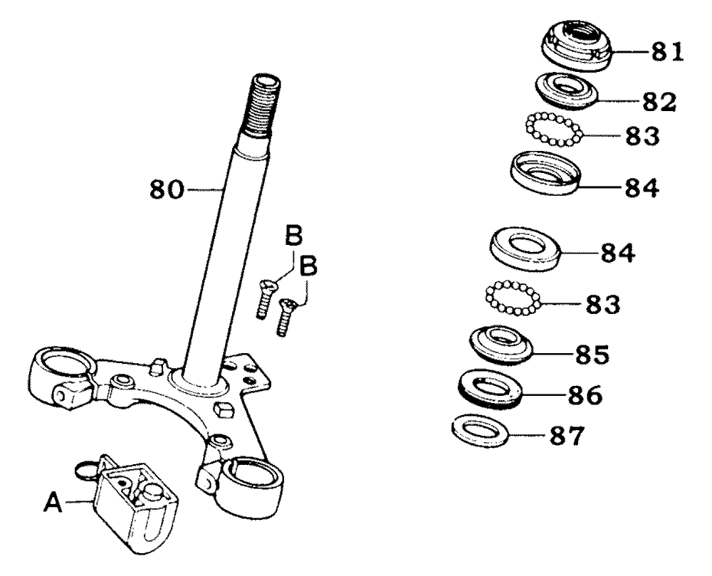 Gabeljoch & Lenkkopflager