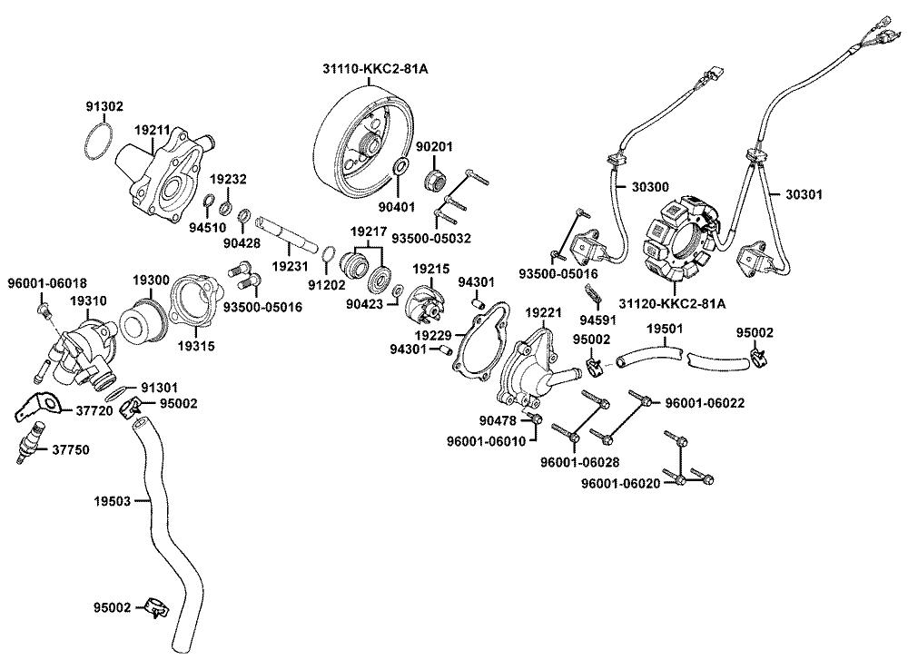 Lichtmaschine & Wasserpumpe