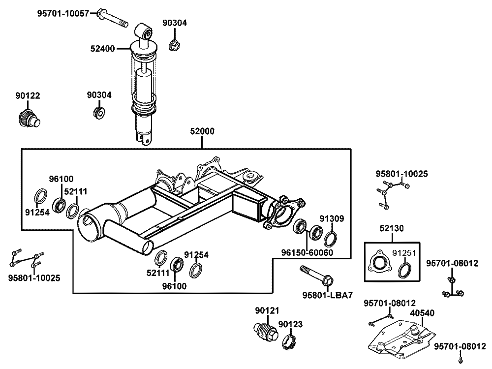 Schwinge und Federbein hinten
