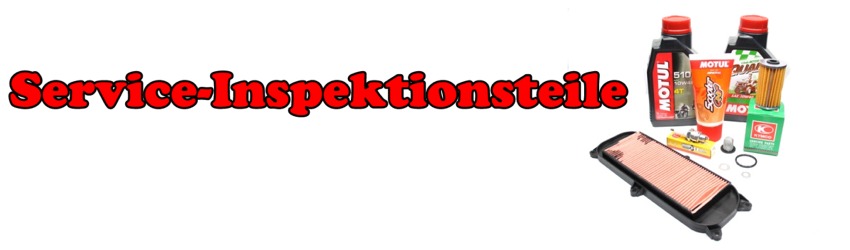 Service-Inspektionsteile