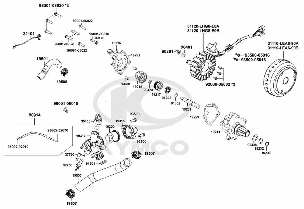Lichtmaschine, Wasserpumpe