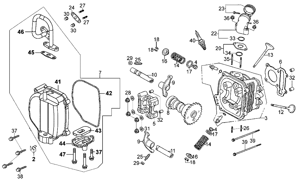 Zylinderkopf  & Ventiltrieb