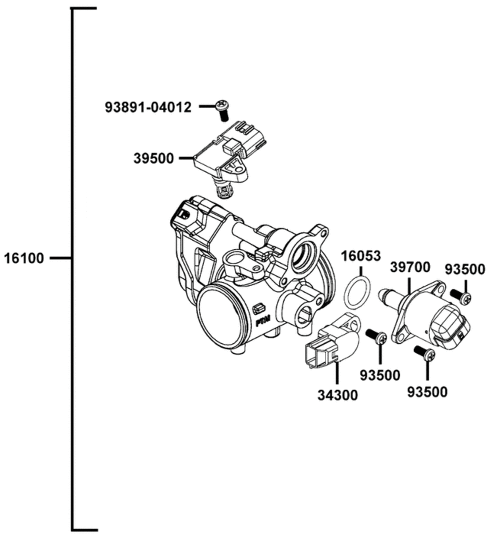 Einspritzeinheit, Drosselklappen