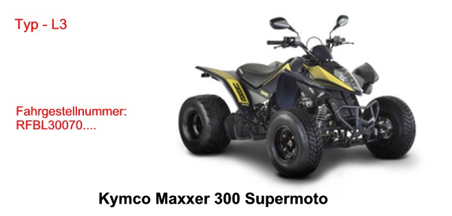 Maxxer 300 Supermoto