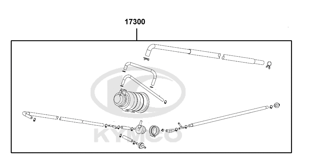 EVAP Kraftstoffdampf-Rückhaltesystem