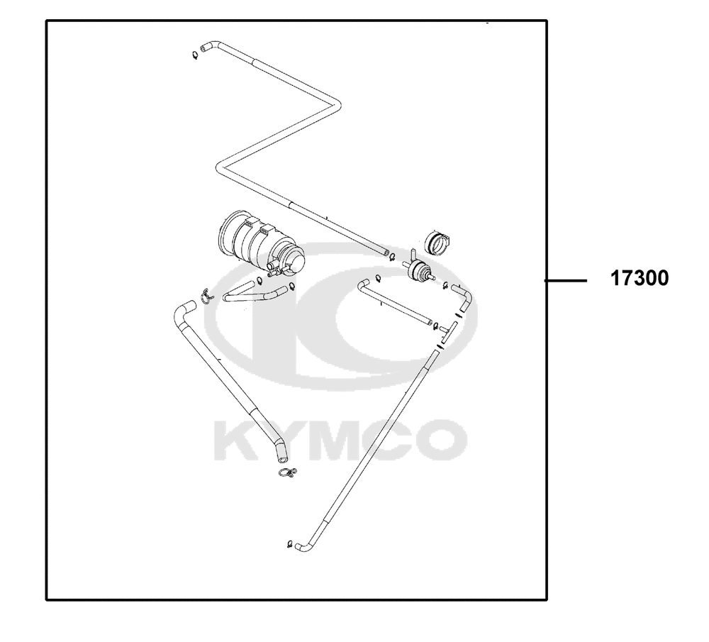 EVAP Kraftstoffdampf-Rückhaltesystem