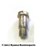 Schraube G10x010 SK14/M/D12x17,f. MA0762