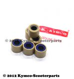 Variorollen-Satz 25g  23x18 (VE 6 Stück)